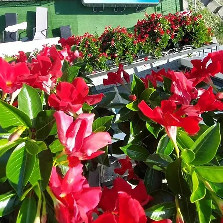 Panoramic View La Quiete Apartamento